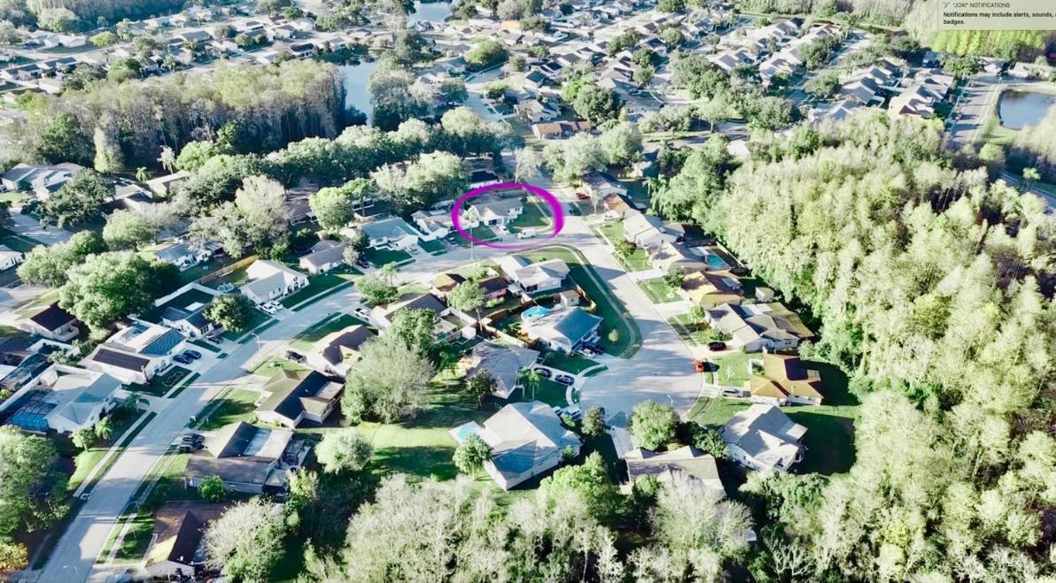 Villa "Impressa" - Billiard,Ping-Pong Table, Lanai, Fire Pit, Bbq Grill, View, Patio, Back Yard New Port Richey Exterior photo